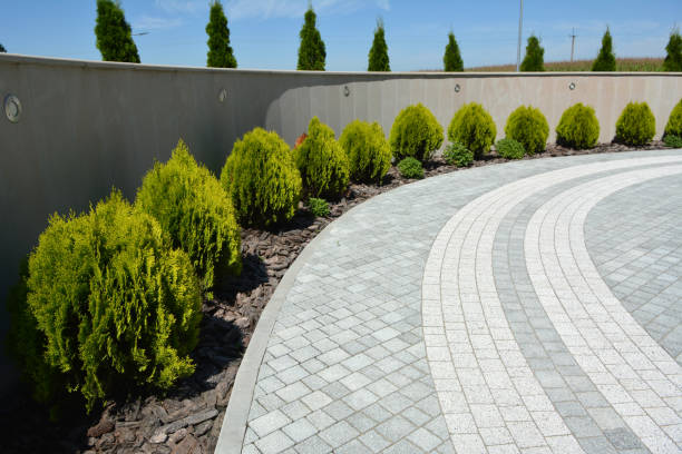 Best Driveway Paving Contractor  in Midlothian, IL